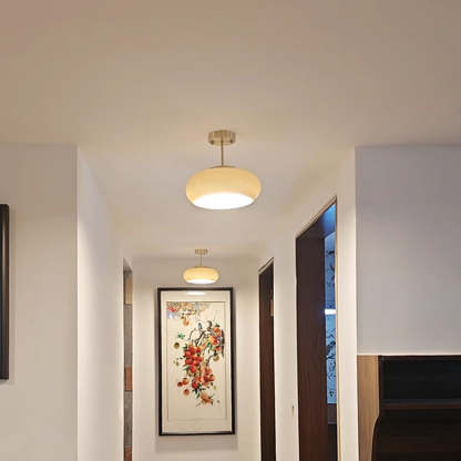 Scandinavian Persimmon Oval Iron Glass Pendant Light
