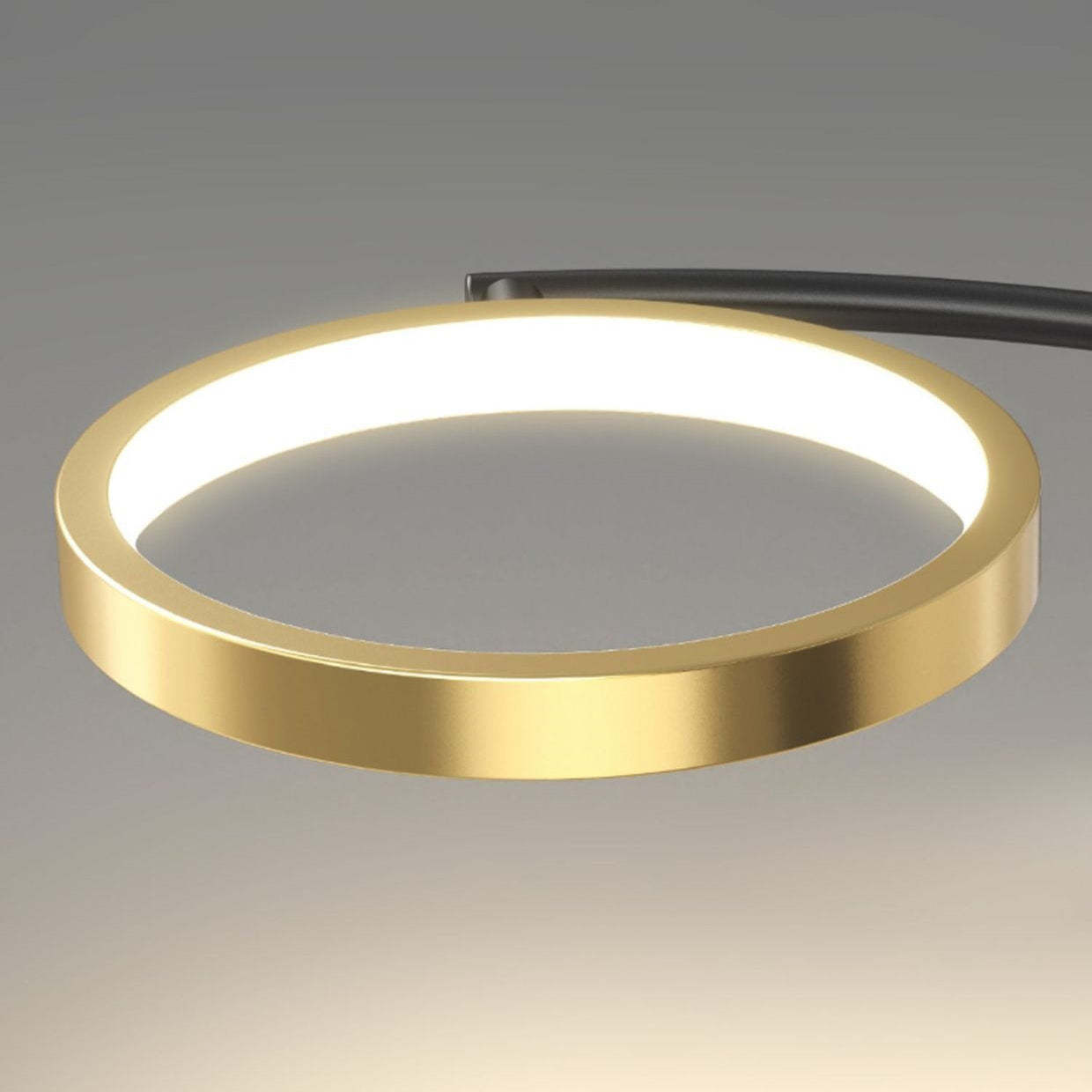 Scandinavian Iron Branch Round Ceiling Light