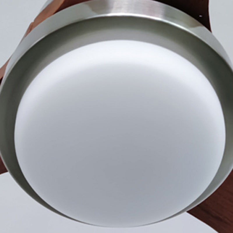 Retro Glass Shade Blade Ceiling Fan Light
