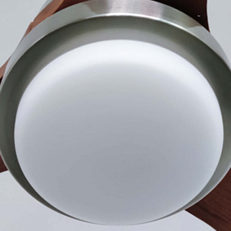 Retro Glass Shade Blade Ceiling Fan Light