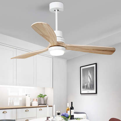 Retro Glass Shade Blade Ceiling Fan Light