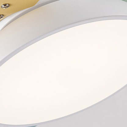 Scandinavian Blade Ceiling Fan Light
