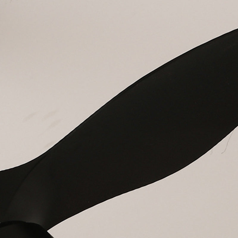 Minimalist Shade Fan Mount Ceiling Fan Light