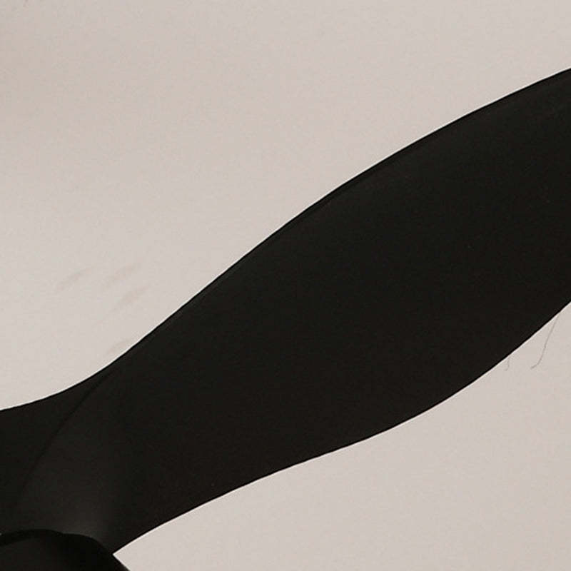 Minimalist Shade Fan Mount Ceiling Fan Light