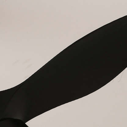 Minimalist Shade Fan Mount Ceiling Fan Light