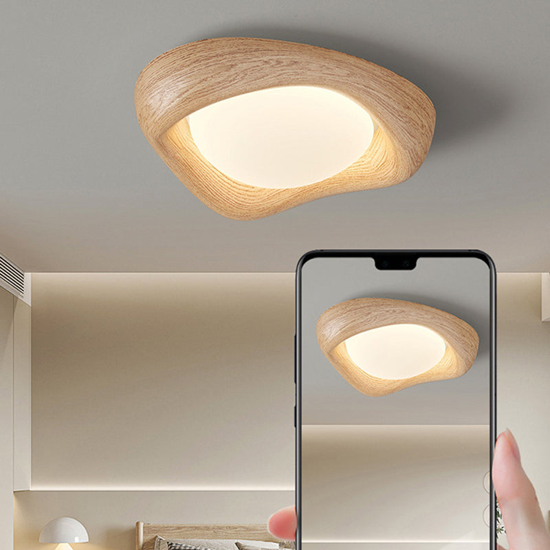 Curved Iron Imitation Wood Grain LED Flush Light