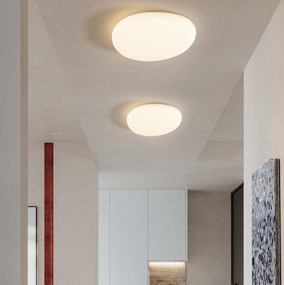 Minimalist Oval Iron Acrylic LED Flush Mount Light