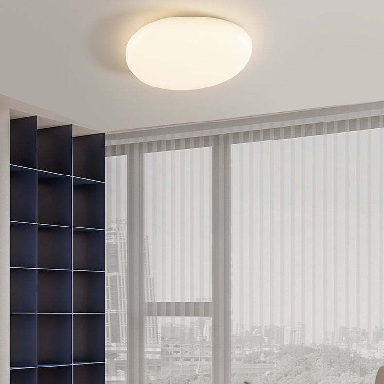 Minimalist Oval Iron Acrylic LED Flush Mount Light
