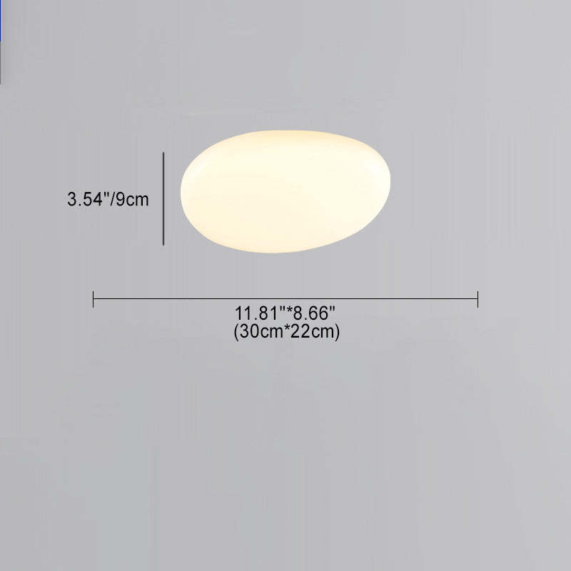 Minimalist Oval Iron Acrylic LED Flush Mount Light