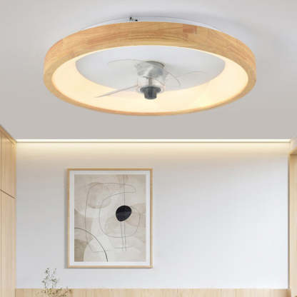 Minimalist Fan Dome Flush Mount Ceiling Fan Light