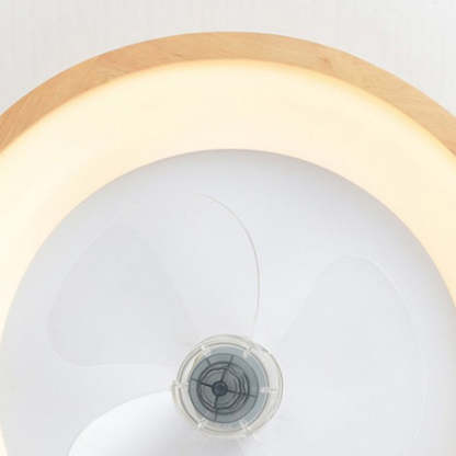Minimalist Fan Dome Flush Mount Ceiling Fan Light