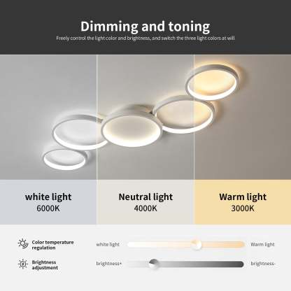 Minimalist Aluminum Multi-Circle Ceiling Light
