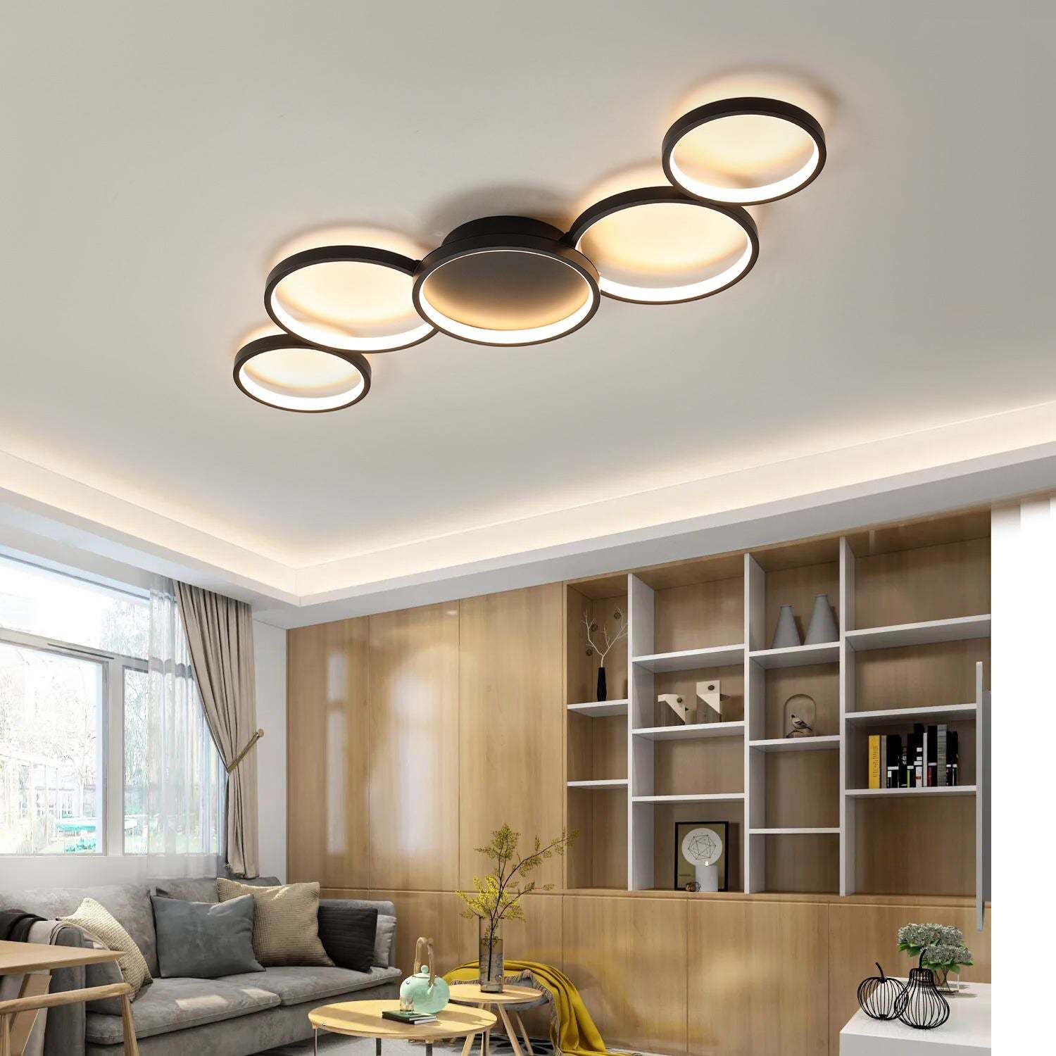 Minimalist Aluminum Multi-Circle Ceiling Light