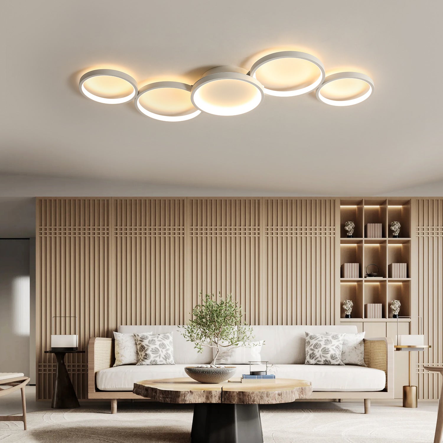 Minimalist Aluminum Multi-Circle Ceiling Light