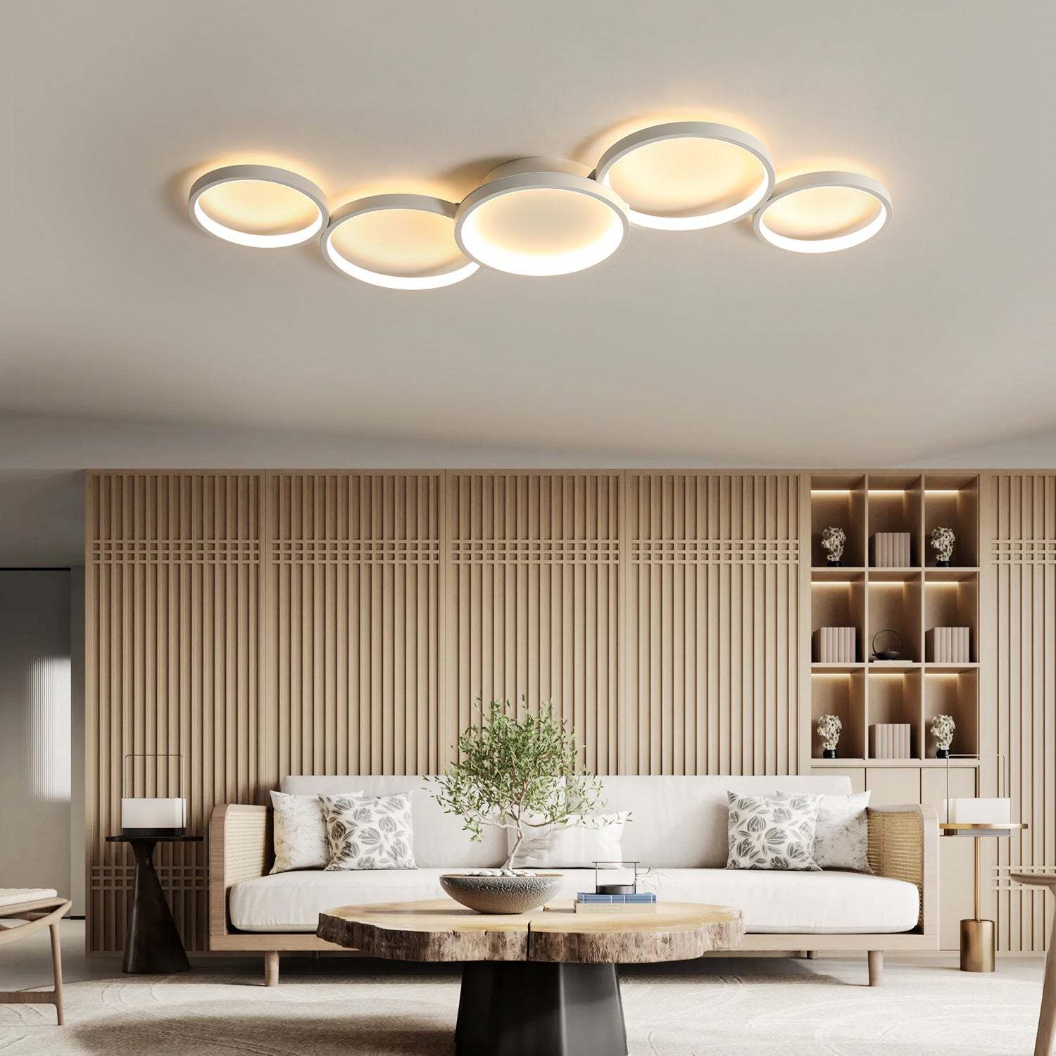 Minimalist Aluminum Multi-Circle Ceiling Light