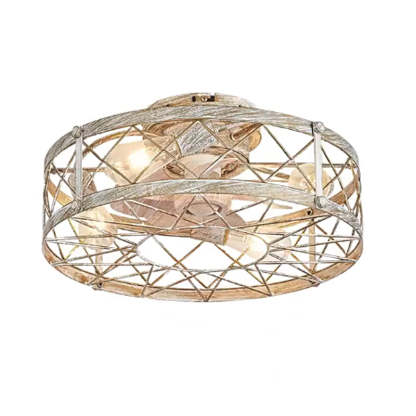 Industrial Caged Metal Mount Ceiling Fan Light
