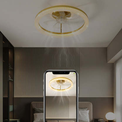 Modern Iron Mount Ceiling Fan Light