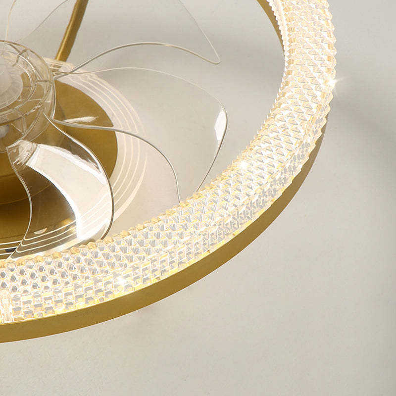 Modern Iron Mount Ceiling Fan Light