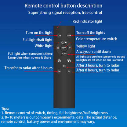Chinese Solar Motion Sensor Wall Sconce