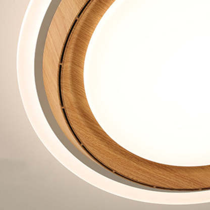 Modern Lace Flush Mount Bladeless Ceiling