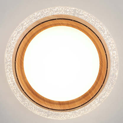 Modern Lace Flush Mount Bladeless Ceiling