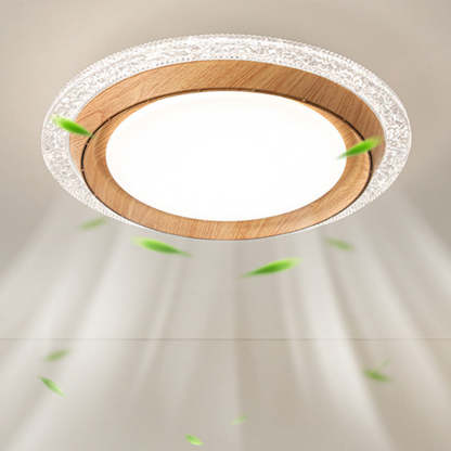 Modern Lace Flush Mount Bladeless Ceiling