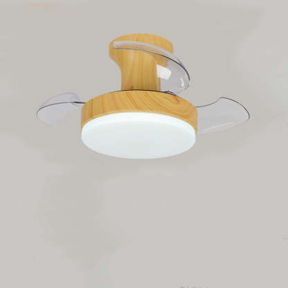 Nordic Iron Stripe Mount Ceiling Fan Light