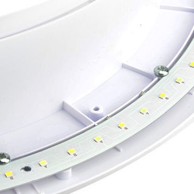 Chinese Wealth Pattern Flush Mount Ceiling
