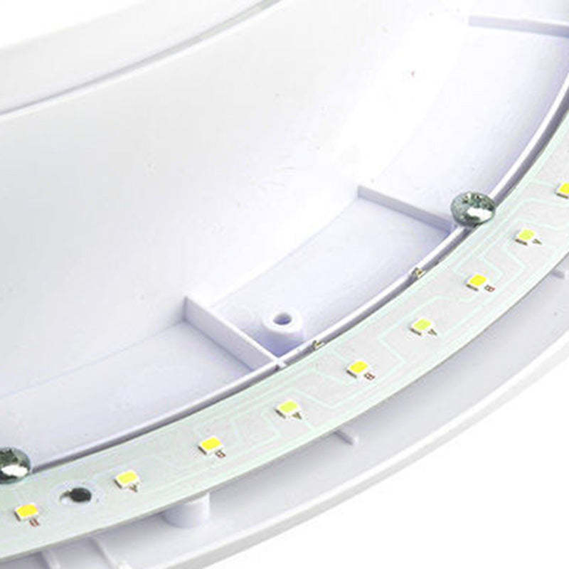 Chinese Wealth Pattern Flush Mount Ceiling