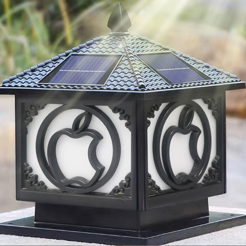 Chinese Solar Aluminum Acrylic Pointed Apple Light