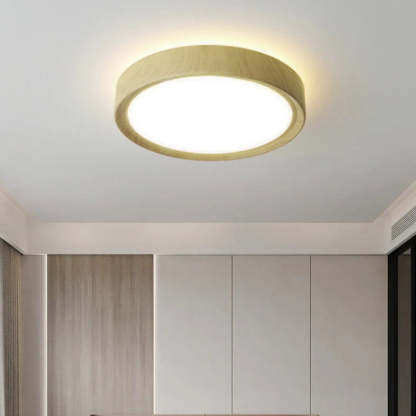 Modern Wood Grain Round Iron LED Flush Mount Light