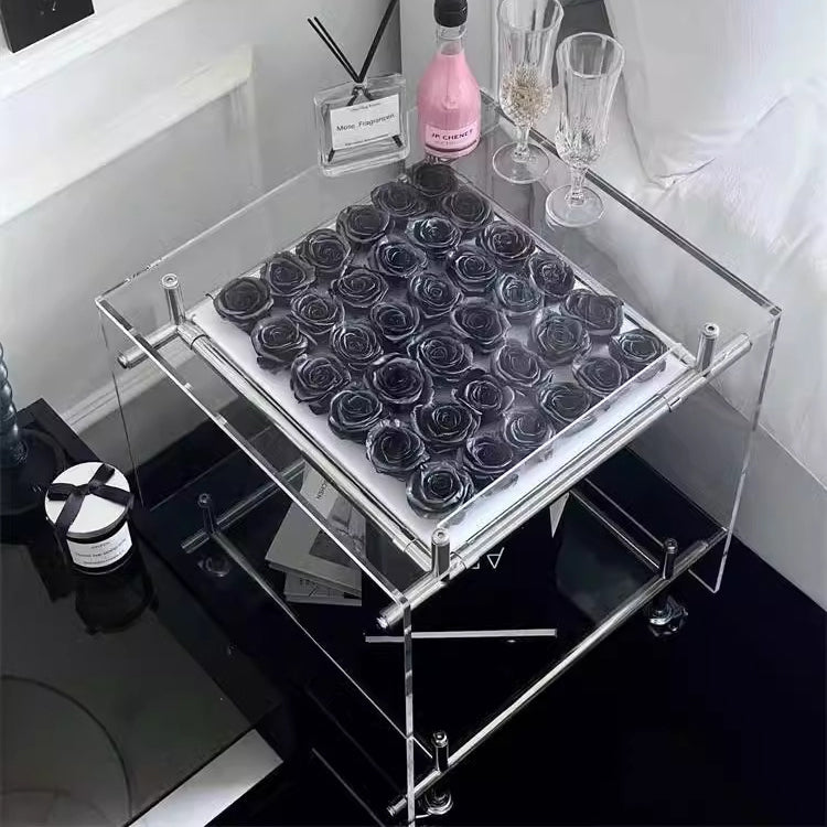 Minimalist Acrylic 2-Tier Table