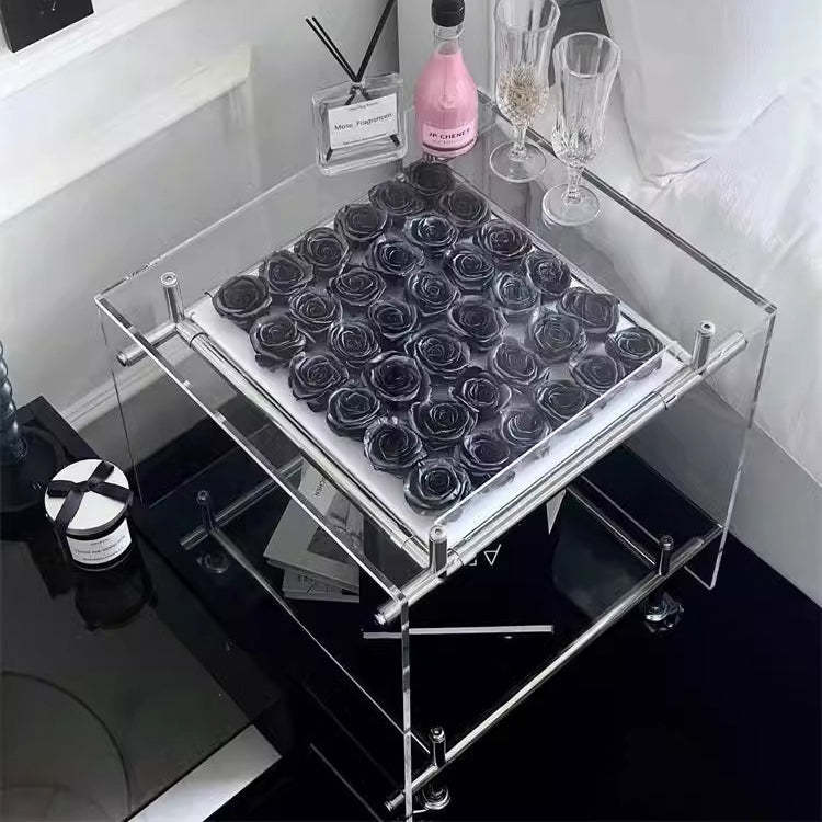 Minimalist Acrylic 2-Tier Table