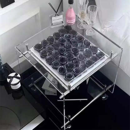 Minimalist Acrylic 2-Tier Table