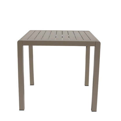 Minimalist Plastic Wood Table