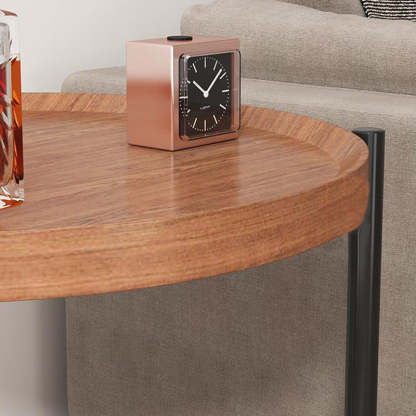 Minimalist Faux Panel Steel End Table 2-Tier