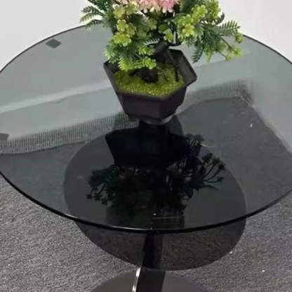 Minimalist Round Glass Steel Coffee Table