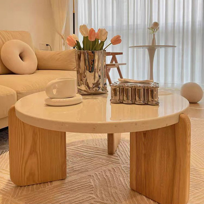 Nordic Wood Terrazzo Coffee Table Set