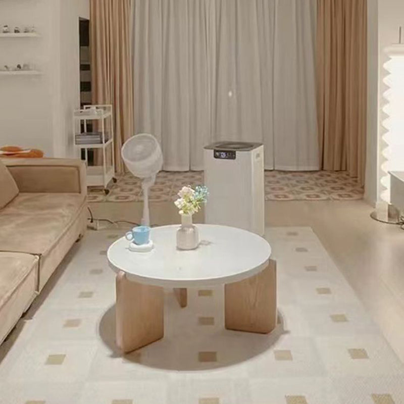 Nordic Wood Terrazzo Coffee Table Set