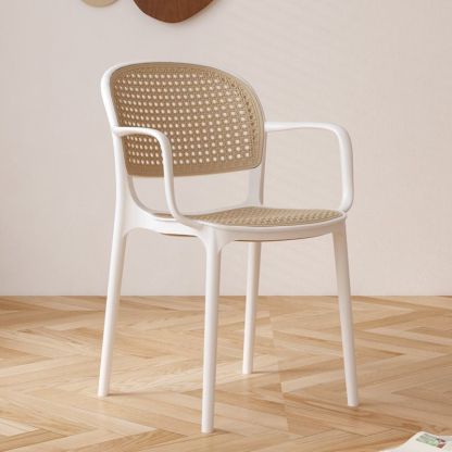 Rattan Plastic Dining Chair