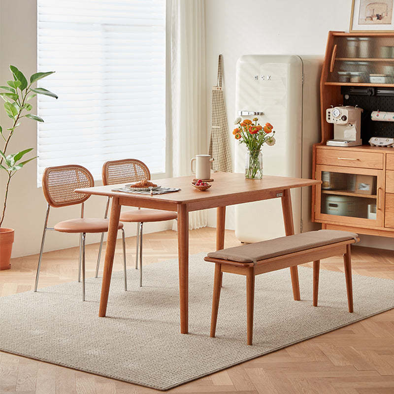 Nordic Iron Rattan Leather Armless Chair
