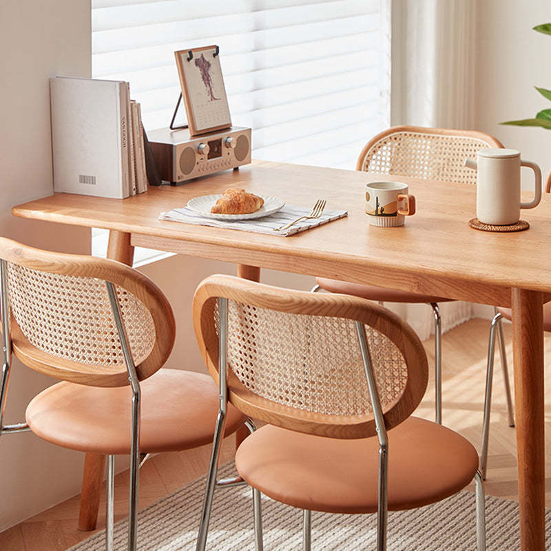 Nordic Iron Rattan Leather Armless Chair