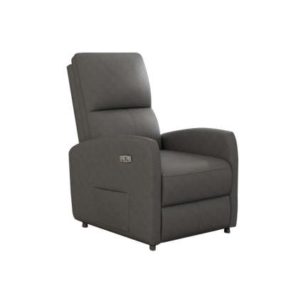 Modern Electric Carbon Steel Pana Leather Accent Chair