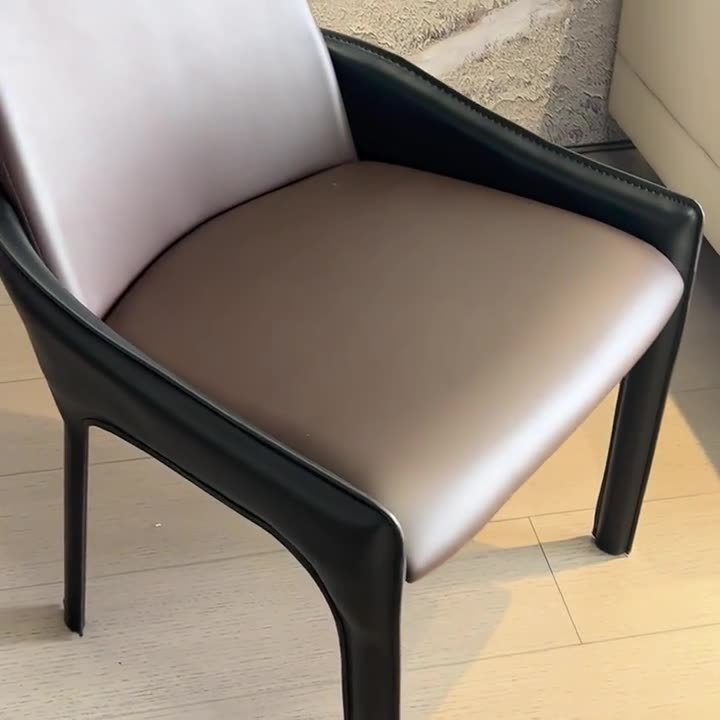 Modern Cat-Scratch Skin Carbon Steel Dining Chair