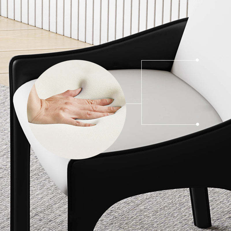 Modern Cat-Scratch Skin Carbon Steel Dining Chair