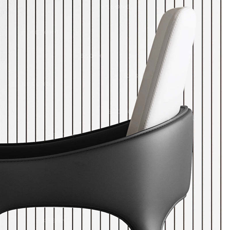 Modern Cat-Scratch Skin Carbon Steel Dining Chair