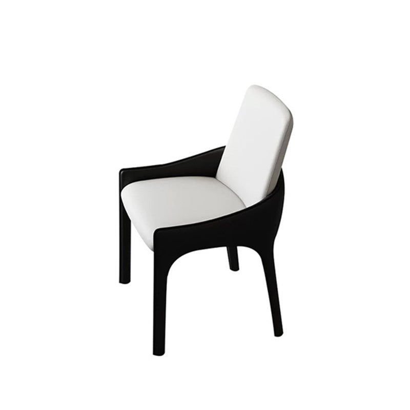 Modern Cat-Scratch Skin Carbon Steel Dining Chair