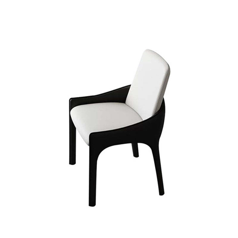Modern Cat-Scratch Skin Carbon Steel Dining Chair