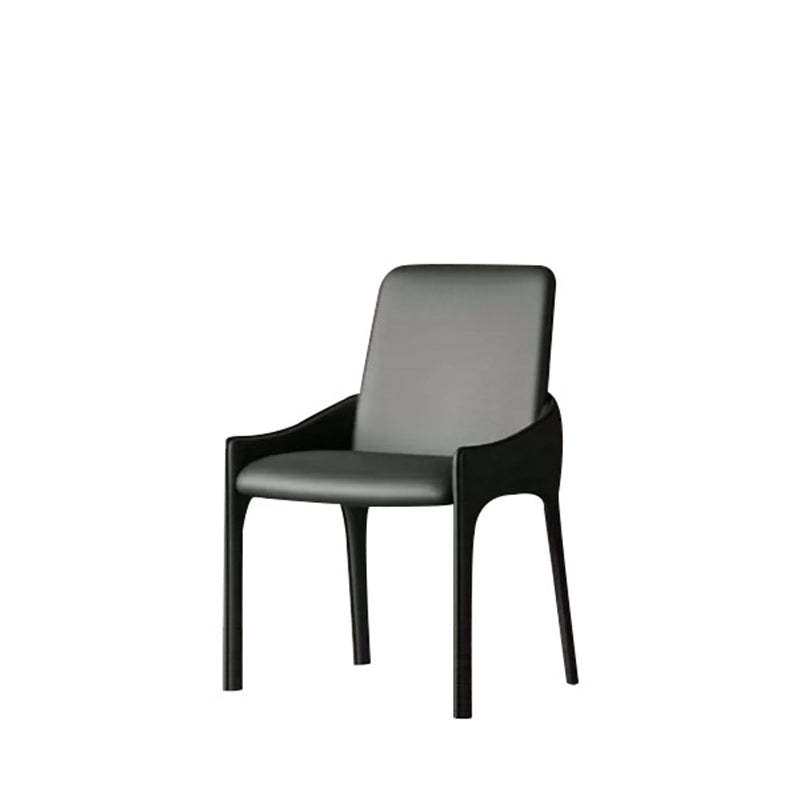 Modern Cat-Scratch Skin Carbon Steel Dining Chair