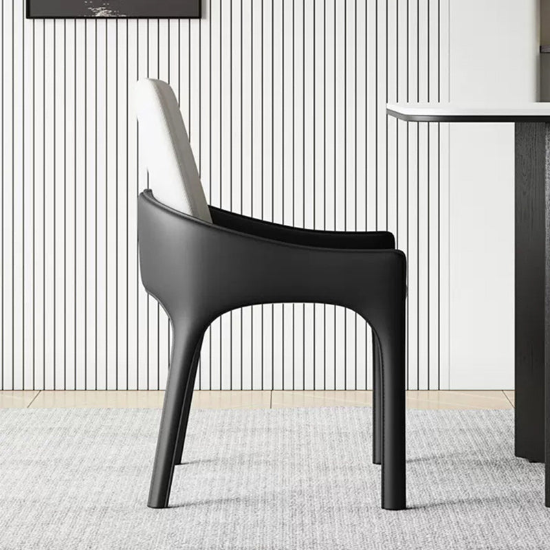 Modern Cat-Scratch Skin Carbon Steel Dining Chair